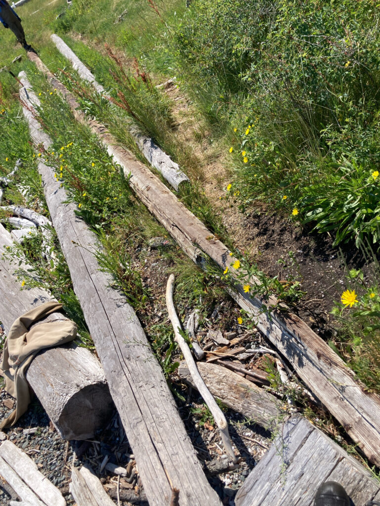 a wooden bridge over a stream (MyCoast AI)
