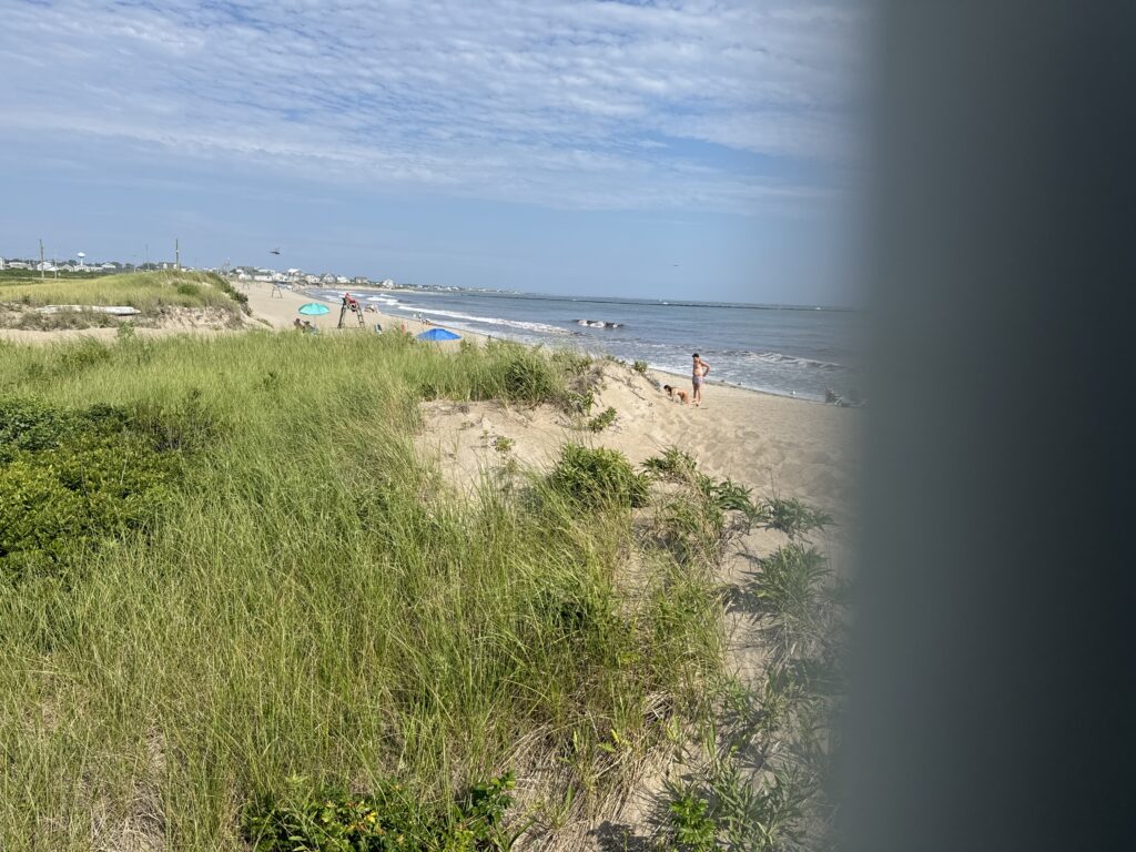 a beach with people walking on it (MyCoast AI)