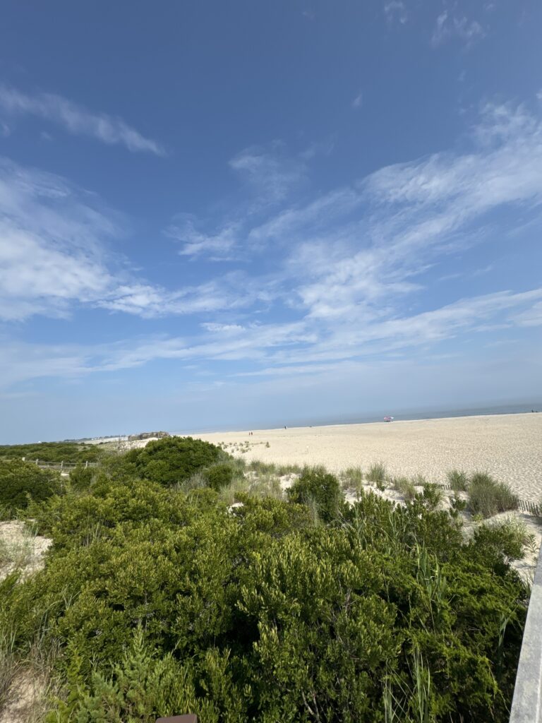 a landscape with trees and bushes (MyCoast AI)