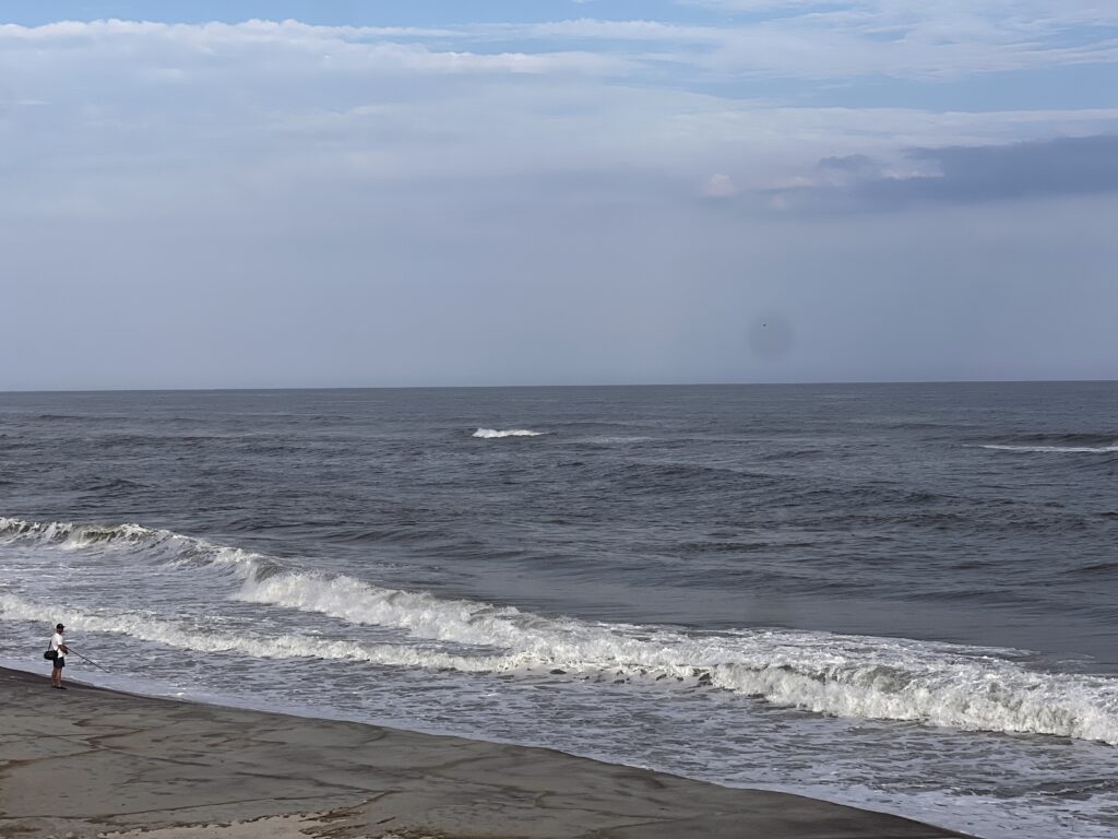 a person standing on a beach (MyCoast AI)
