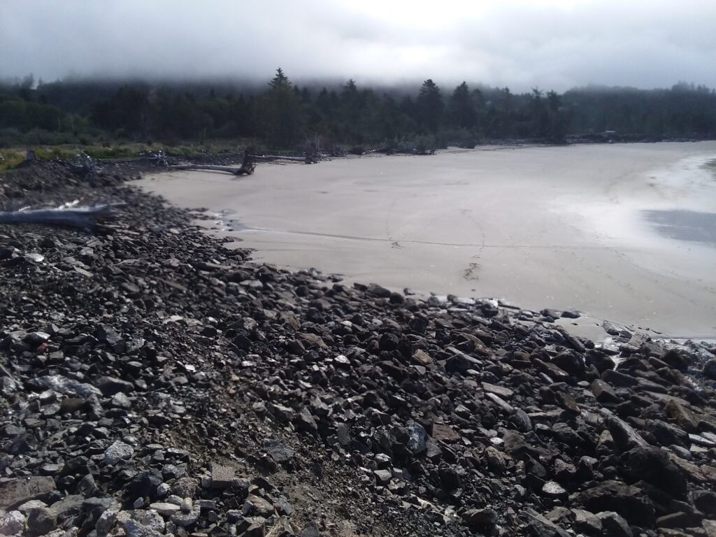 a rocky beach with a body of water and trees in the background (MyCoast AI)