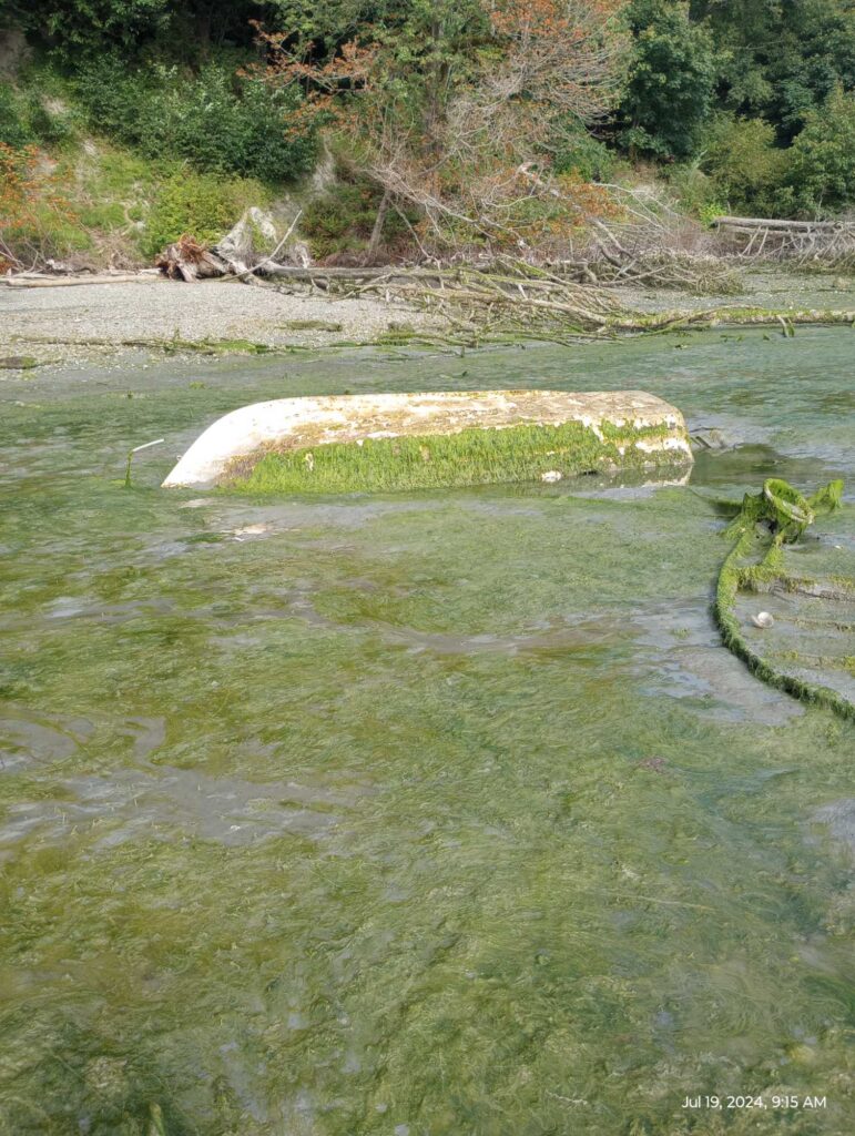 a pond with a rock in it (MyCoast AI)