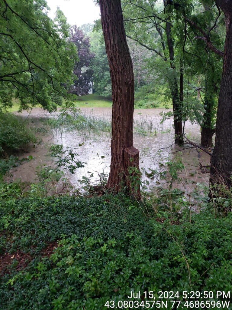 a muddy river with trees on either side of it (MyCoast AI)