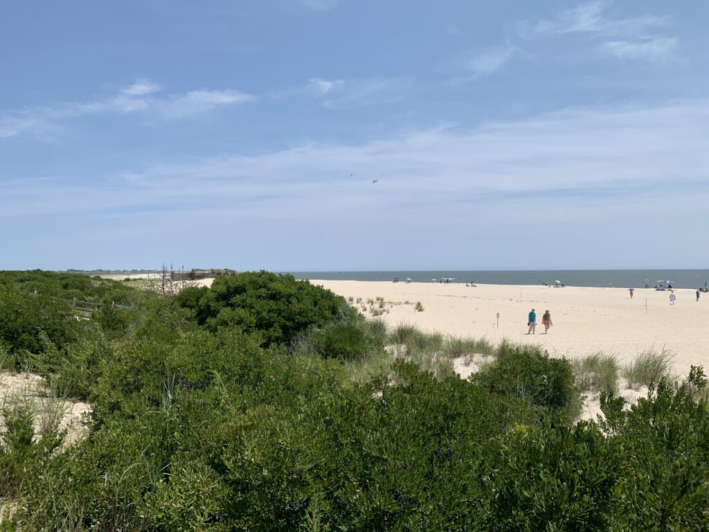 a group of people walking on a beach (MyCoast AI)