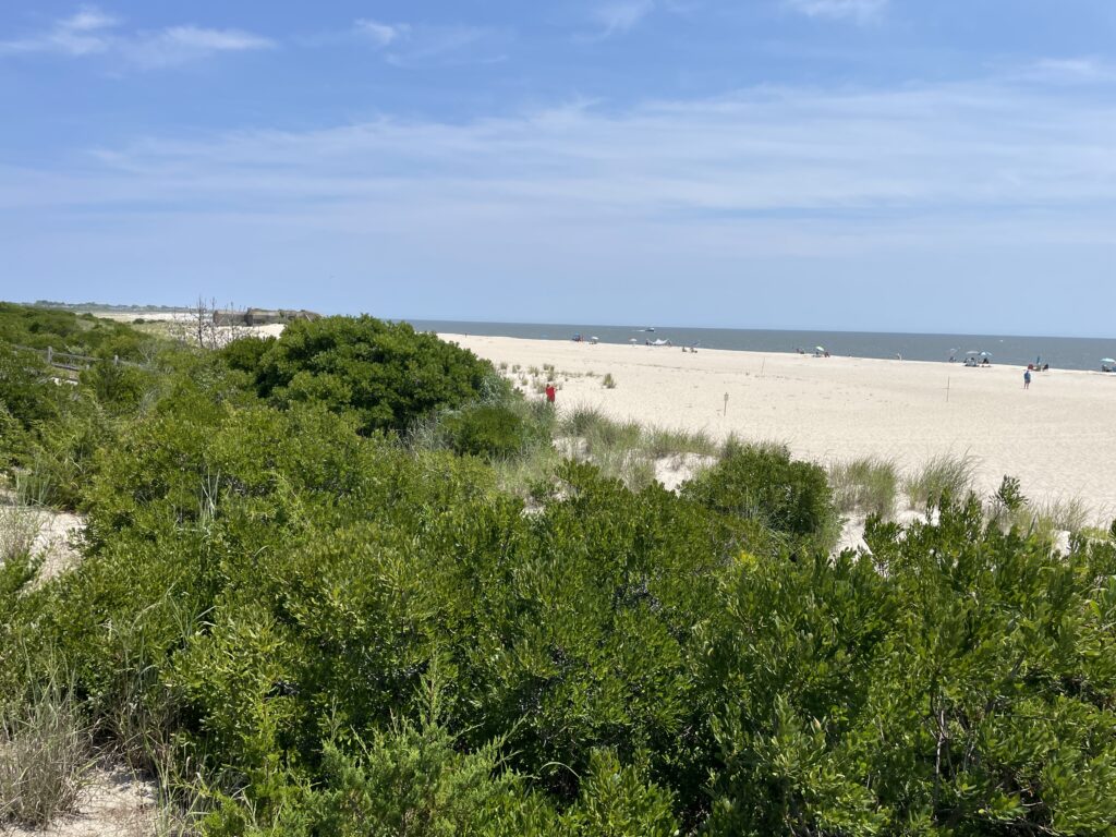 a beach with bushes and people (MyCoast AI)