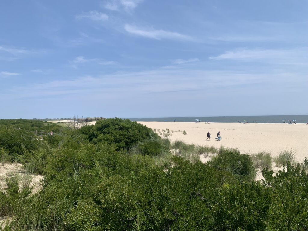 a group of people walking on a beach (MyCoast AI)