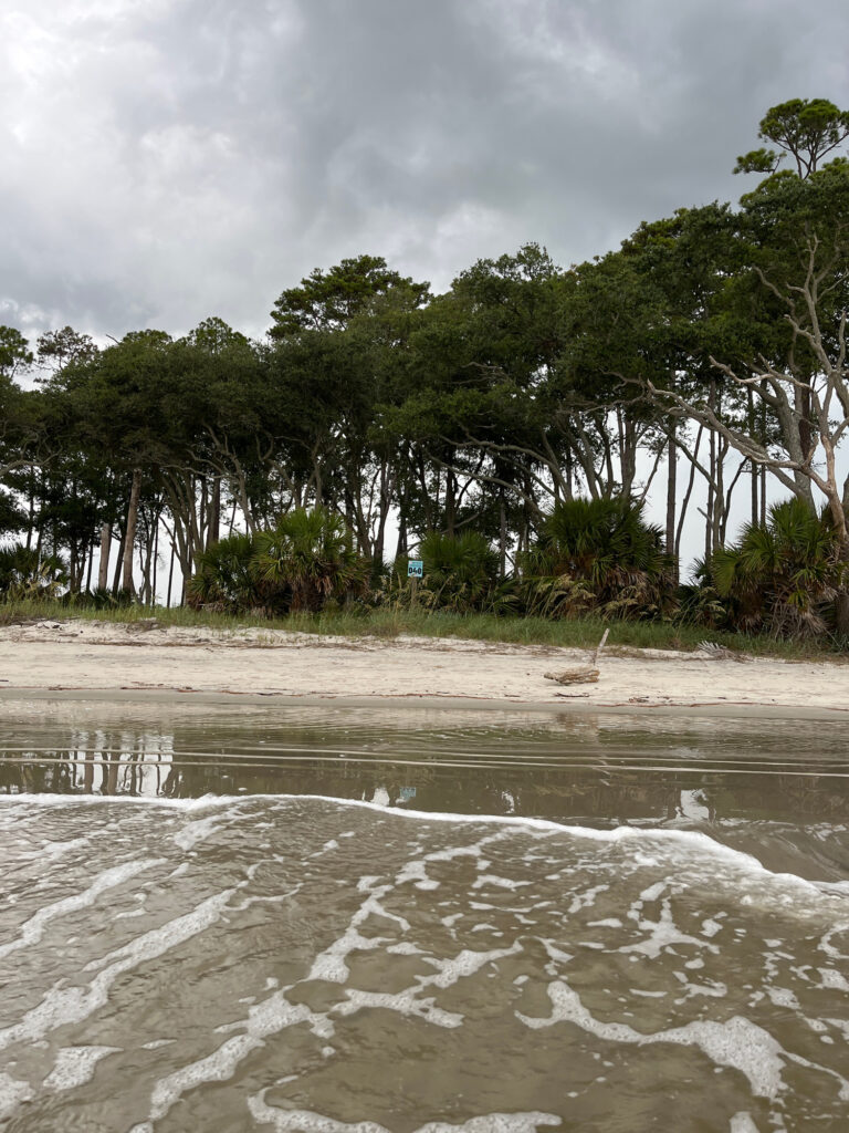 a beach with trees and a body of water (MyCoast AI)