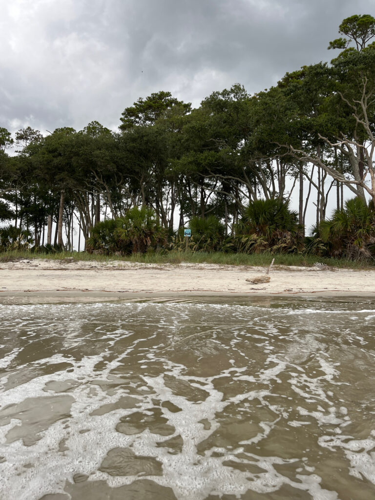 a beach with trees and a body of water (MyCoast AI)