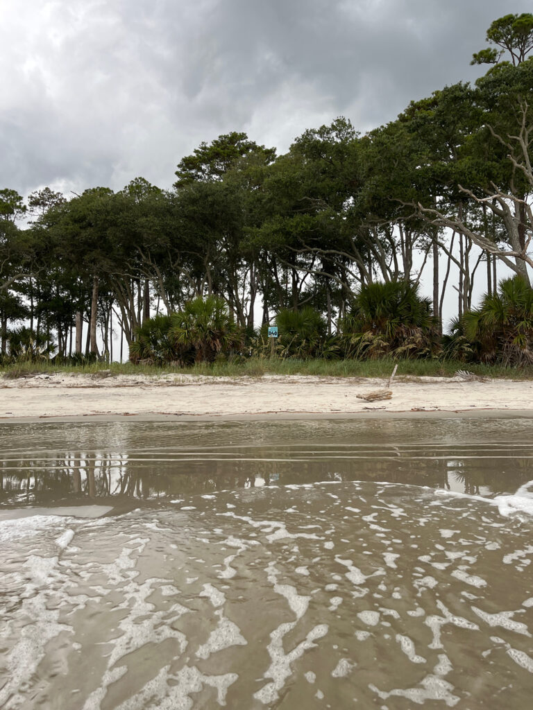 a beach with trees and water (MyCoast AI)