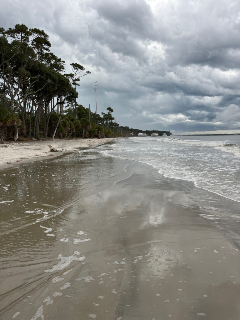 a beach with waves crashing on it (MyCoast AI)