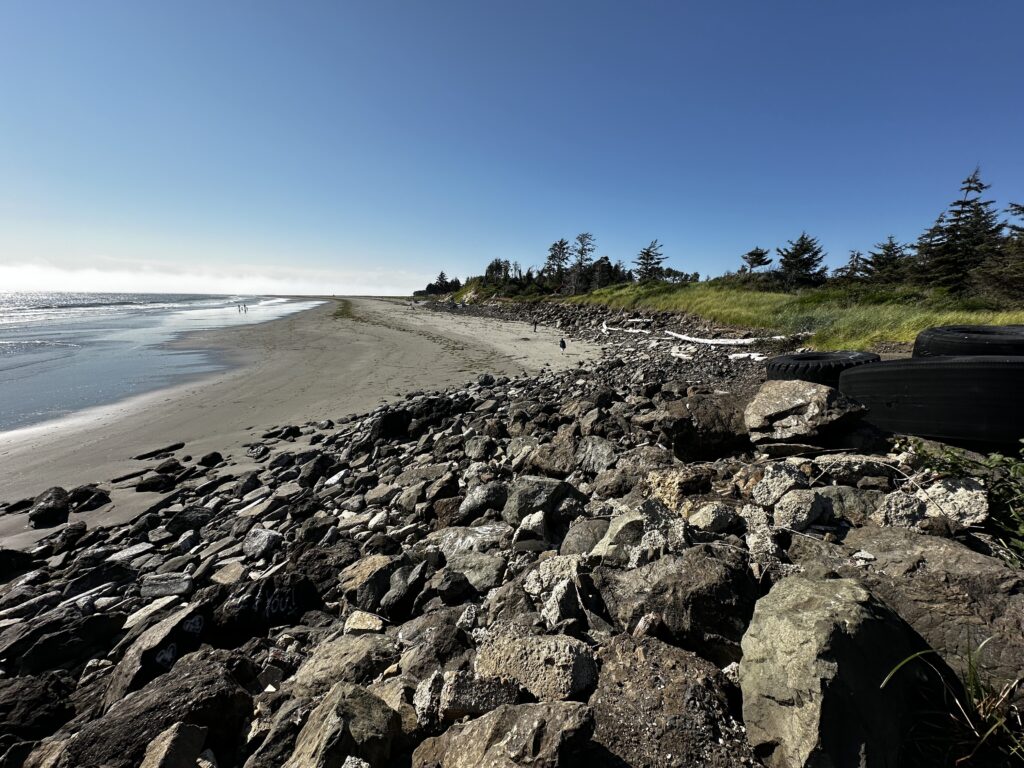 a rocky beach with trees and grass (MyCoast AI)
