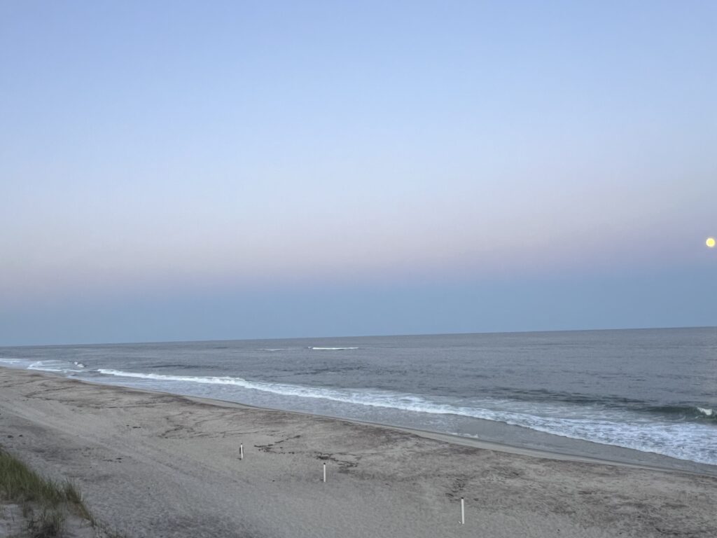 a beach with waves crashing on it (MyCoast AI)