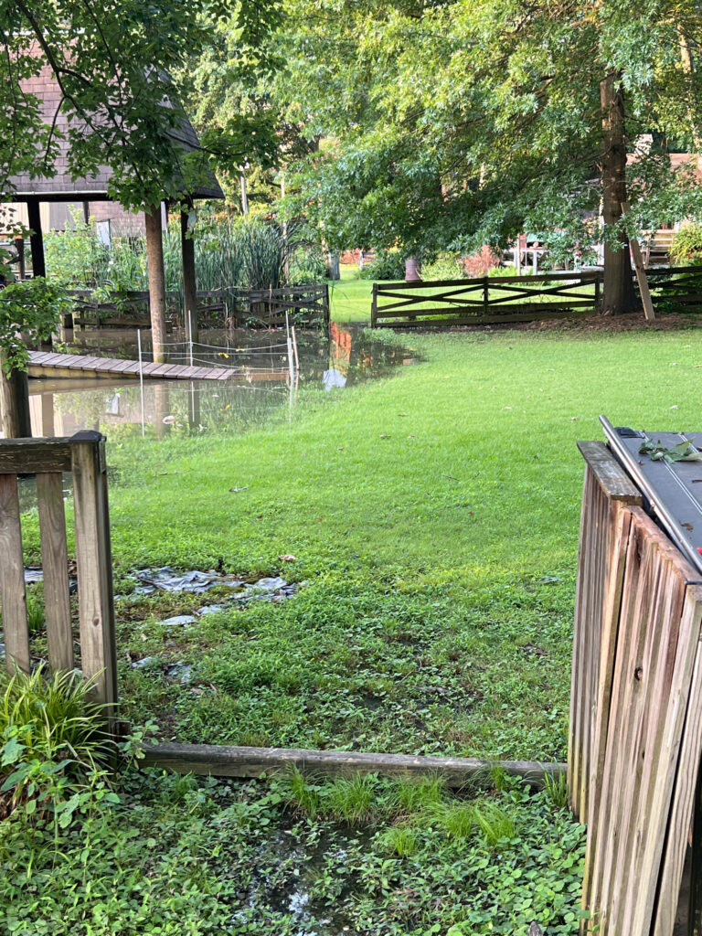a yard with a fence and trees (MyCoast AI)
