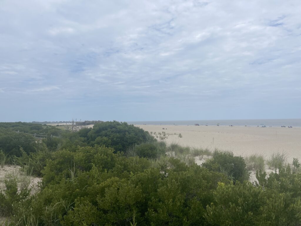a landscape with trees and bushes (MyCoast AI)