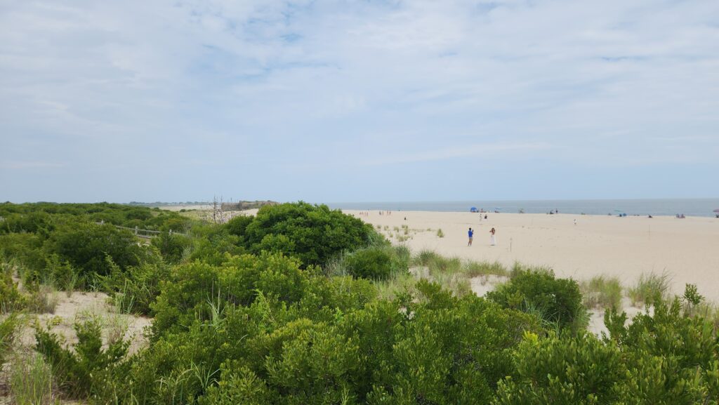 a group of people walking on a beach (MyCoast AI)