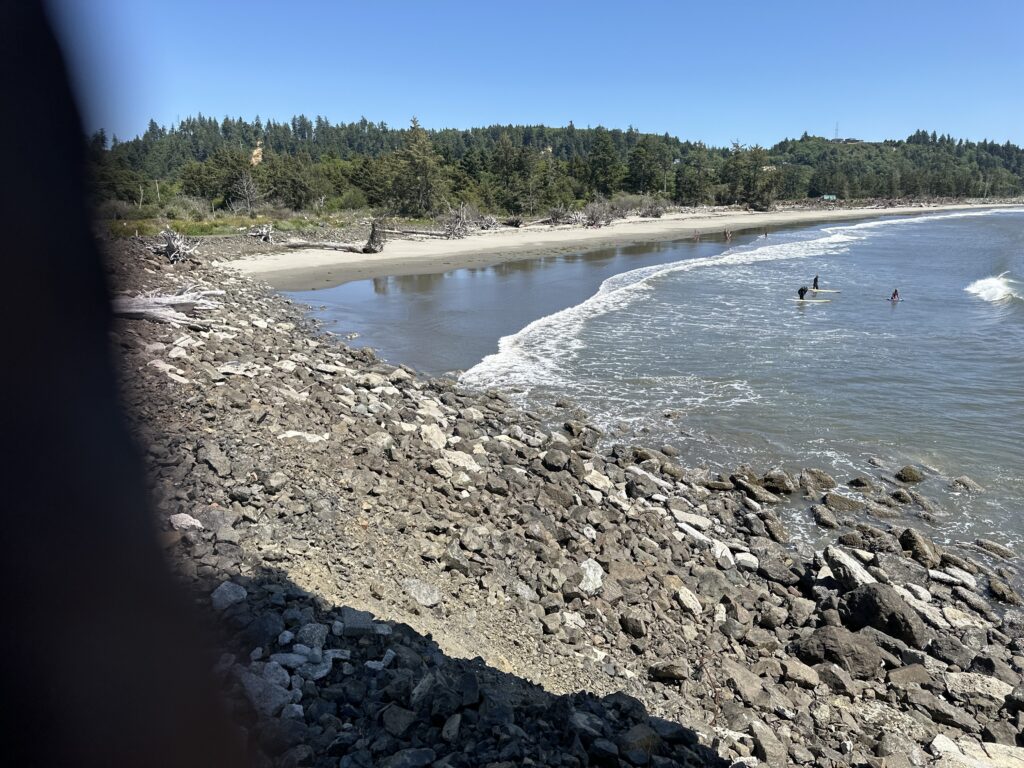a rocky beach with trees in the background (MyCoast AI)