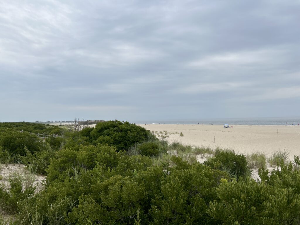 a sandy beach with bushes and trees (MyCoast AI)