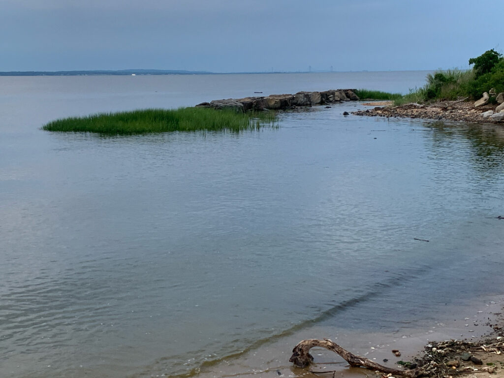 a body of water with land in the back (MyCoast AI)