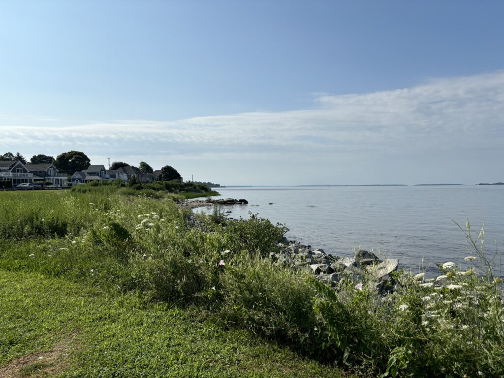 a grassy area next to a body of water (MyCoast AI)
