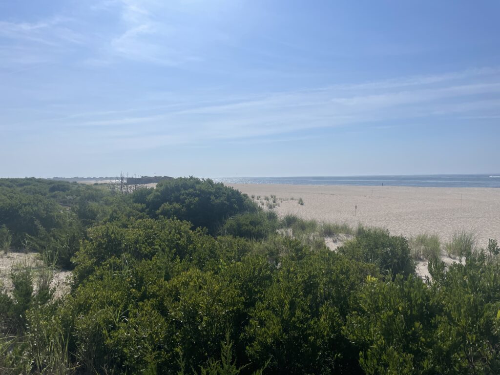 a landscape with trees and a body of water in the background (MyCoast AI)