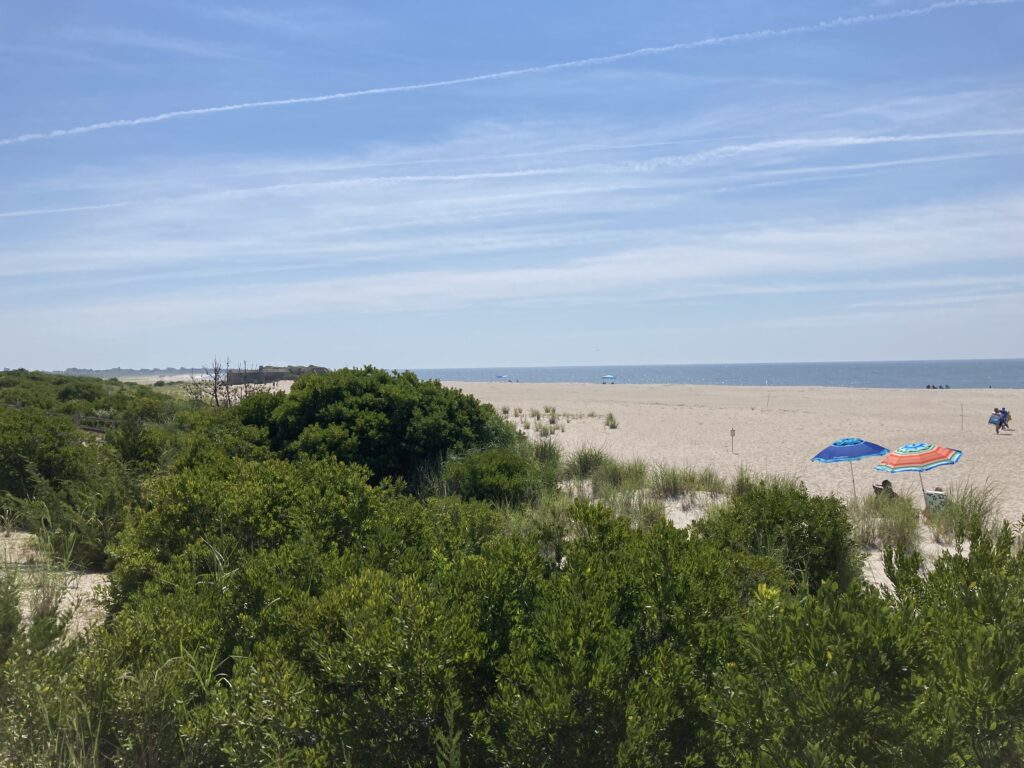 people with umbrellas in the sand (MyCoast AI)