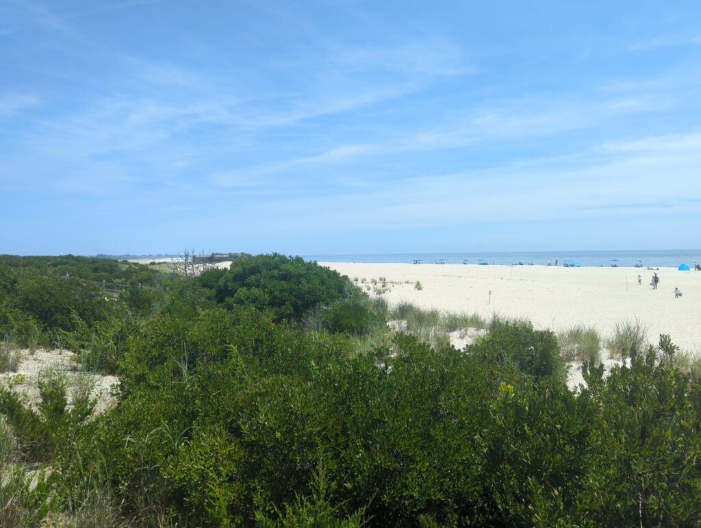 a beach with trees and bushes (MyCoast AI)