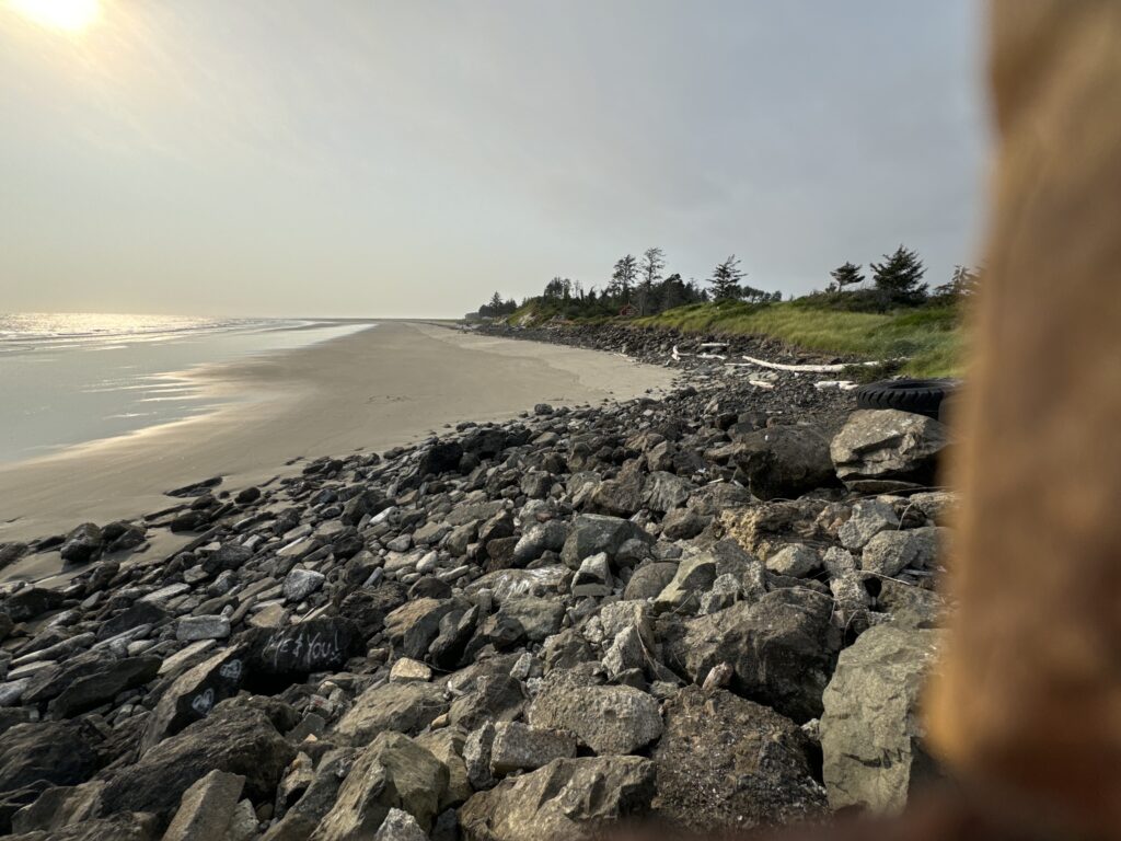 a rocky beach with trees in the background (MyCoast AI)
