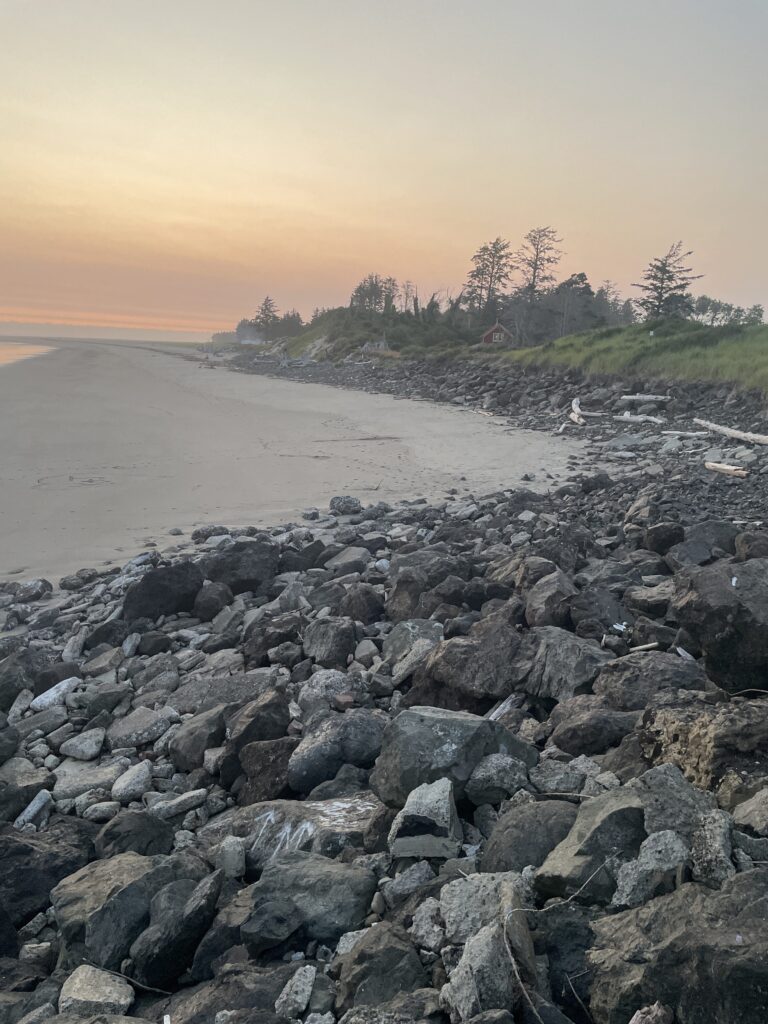 a rocky beach with trees in the background (MyCoast AI)