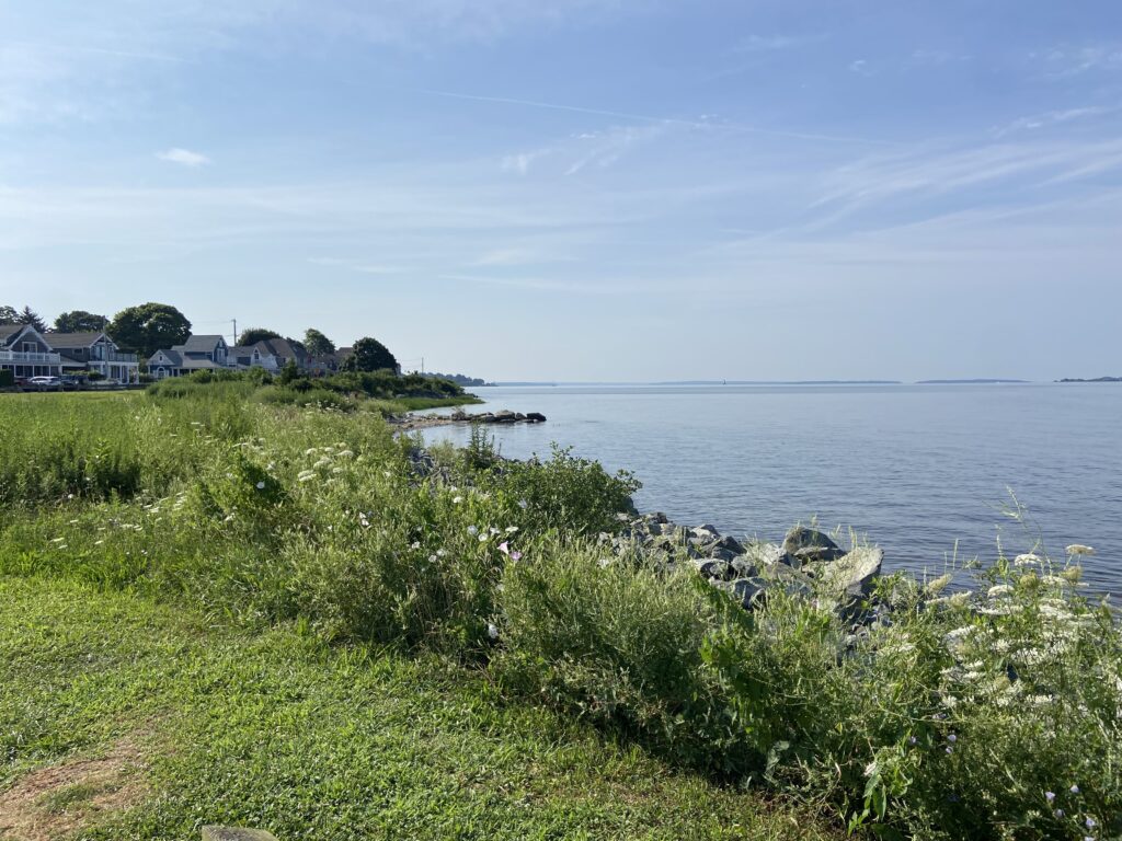 a body of water with grass and trees around it (MyCoast AI)