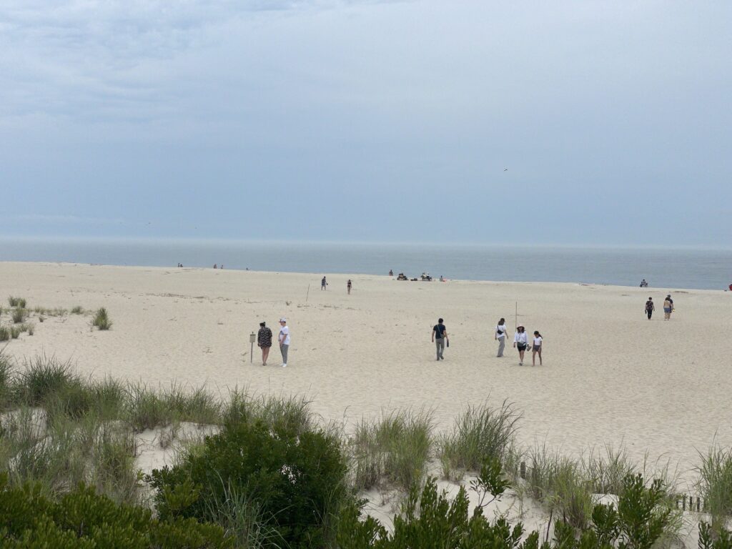 a group of people walking on a sandy beach (MyCoast AI)