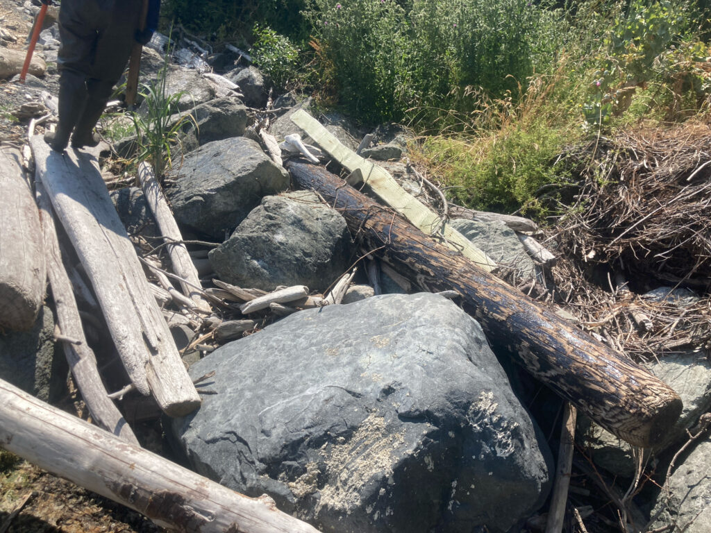 a person standing next to a large rock (MyCoast AI)