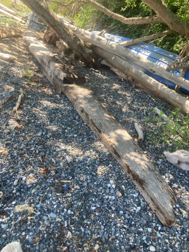 a wooden bridge over a stream (MyCoast AI)