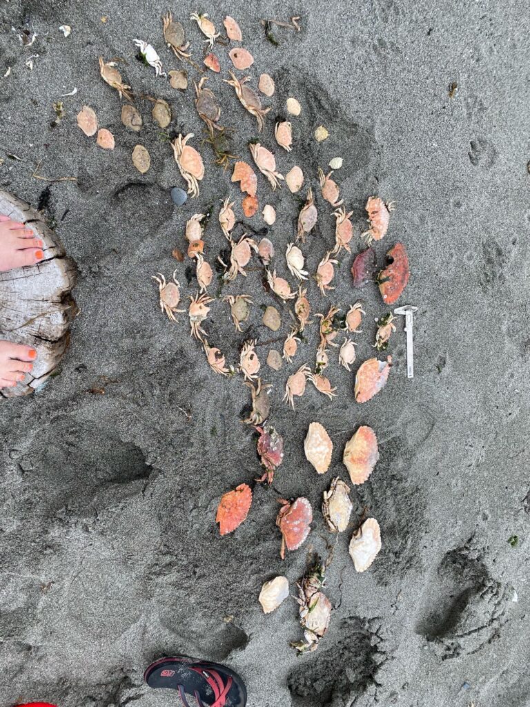 a person's feet on the ground with leaves on it (MyCoast AI)