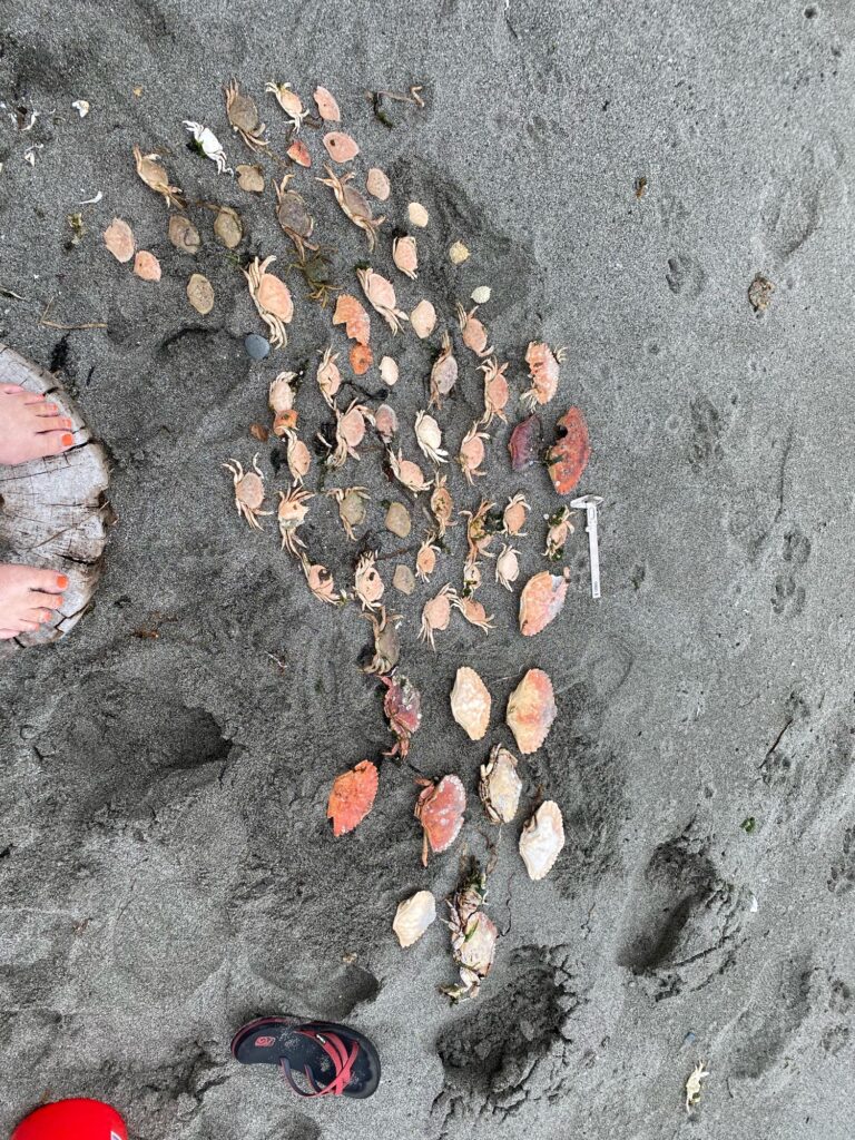 a person's feet on the ground with leaves on it (MyCoast AI)