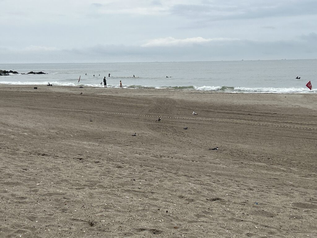 people flying kites on a beach (MyCoast AI)