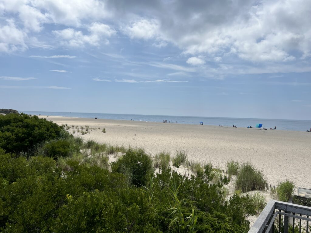 a beach with people on it (MyCoast AI)