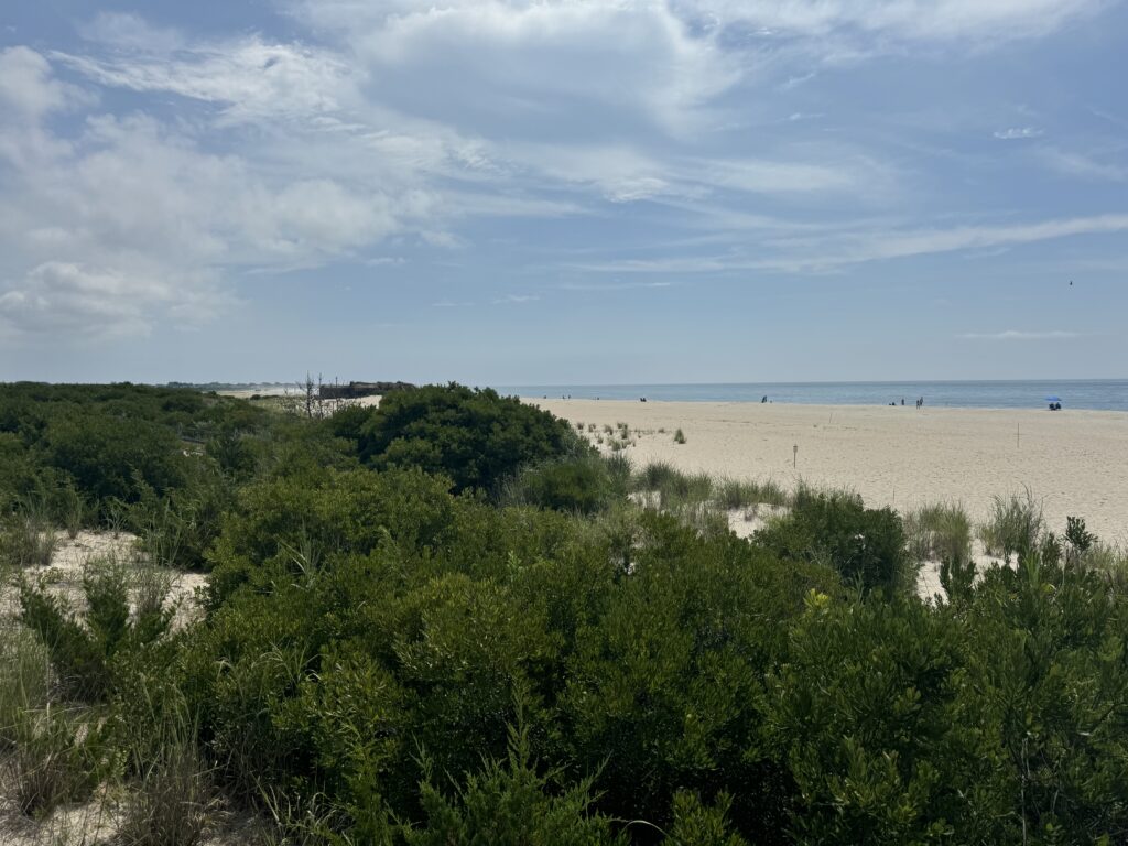 a beach with trees and bushes (MyCoast AI)