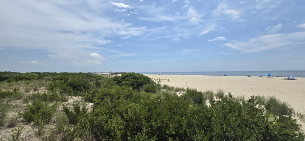 a sandy beach with bushes and trees (MyCoast AI)