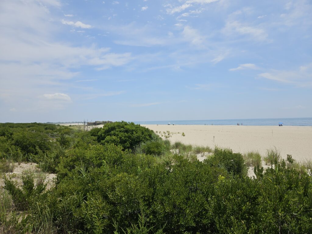 a beach with trees and bushes (MyCoast AI)