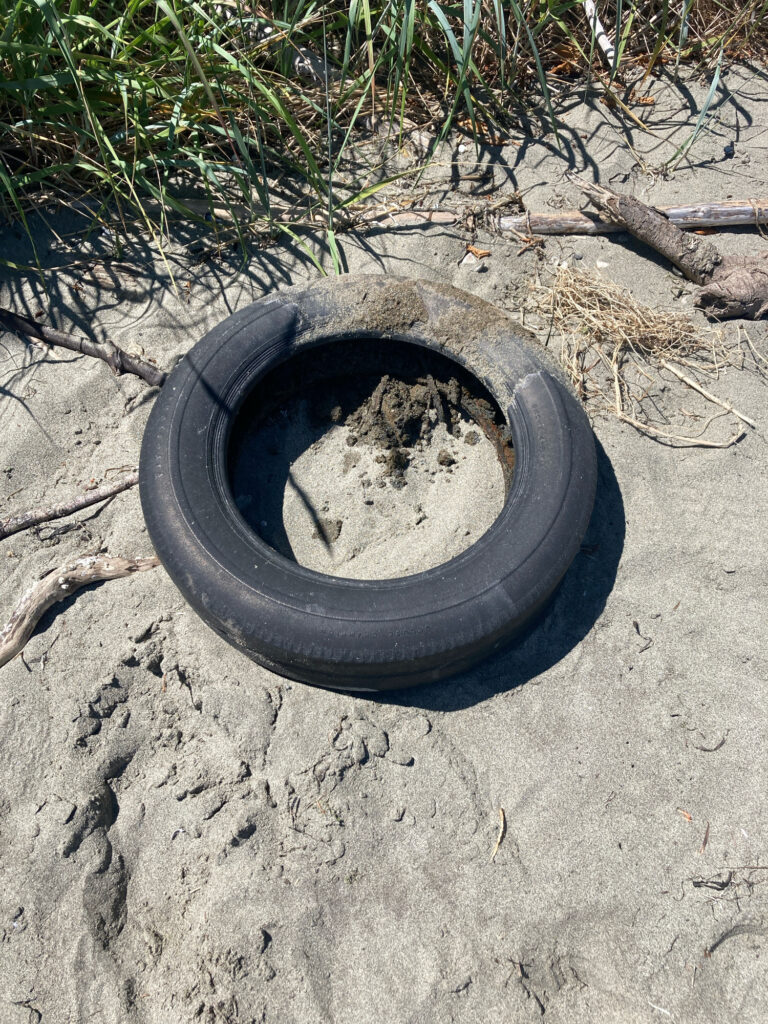 a black tire on the ground (MyCoast AI)