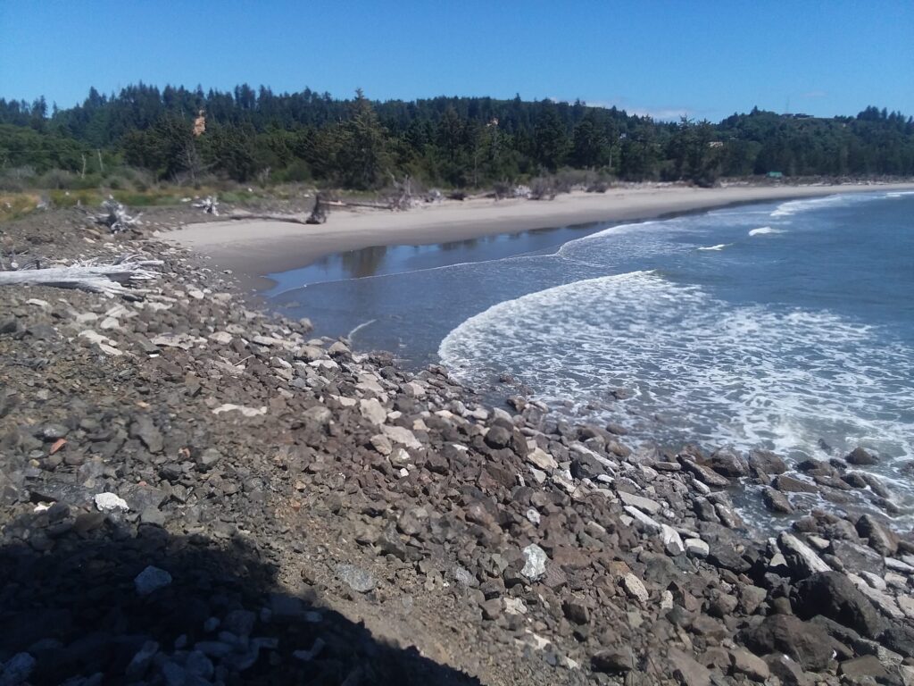 a rocky beach with a body of water and trees in the background (MyCoast AI)