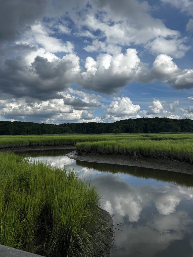 a body of water with grass and trees around it (MyCoast AI)