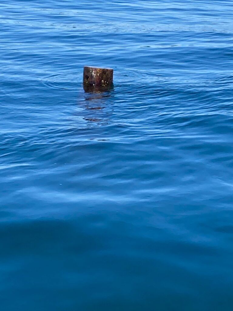 a wooden post in the water (MyCoast AI)