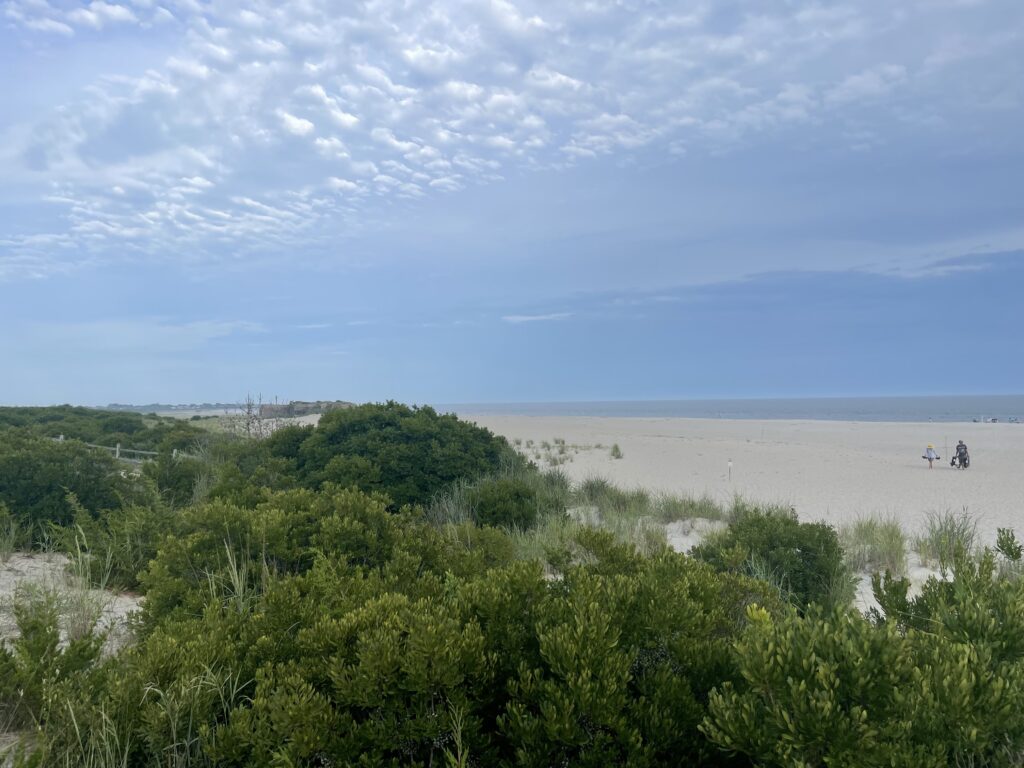a group of people walking on a beach (MyCoast AI)