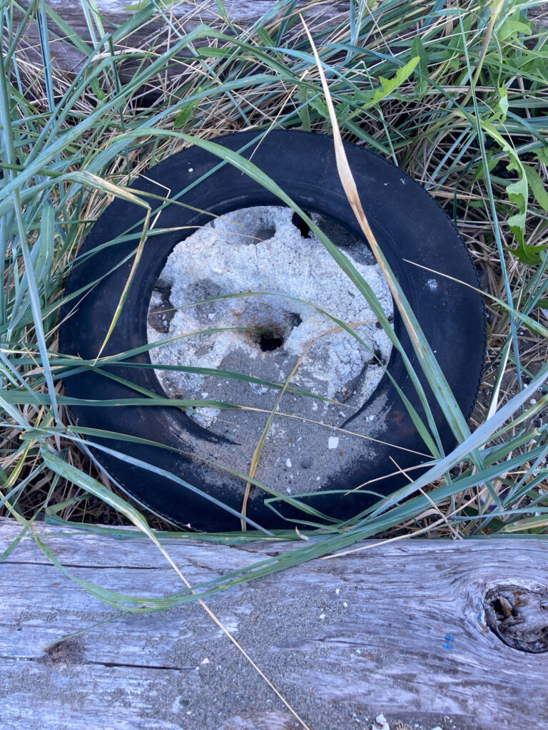 a turtle in a cage (MyCoast AI)