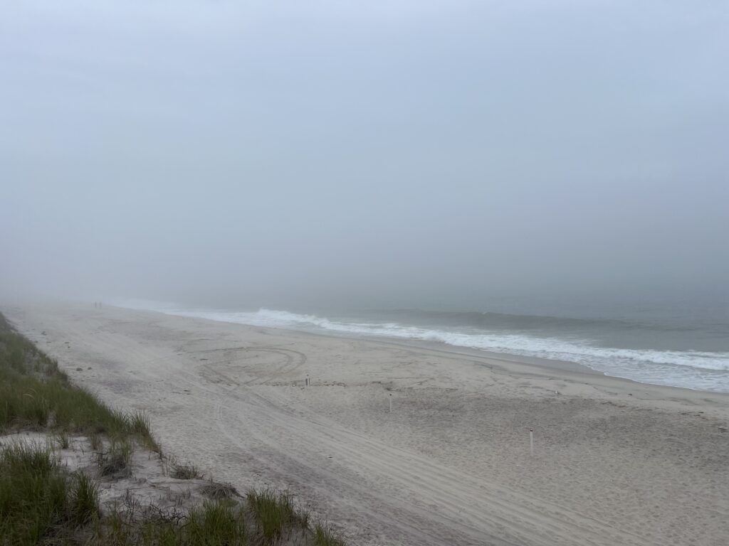 a sandy beach with waves crashing on it (MyCoast AI)