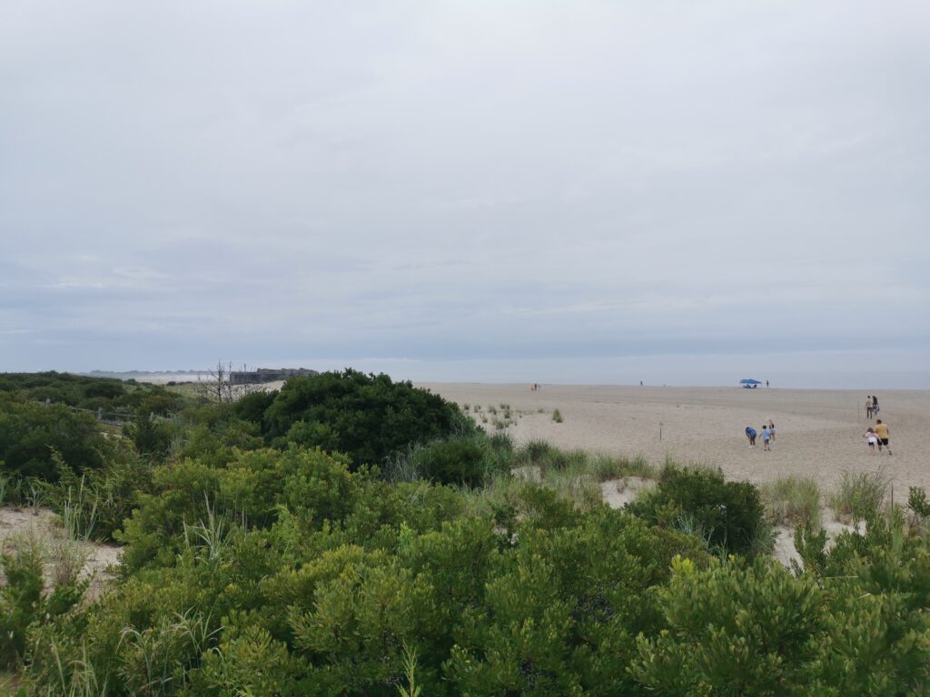 a group of people walking on a beach (MyCoast AI)