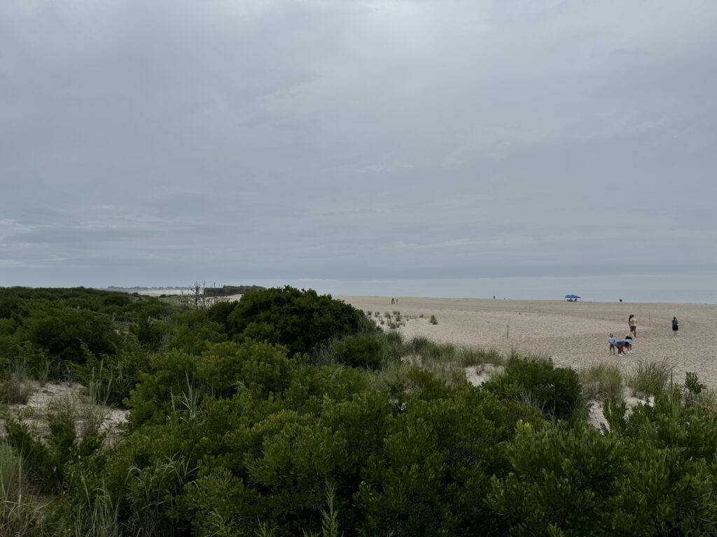 a beach with people walking on it (MyCoast AI)