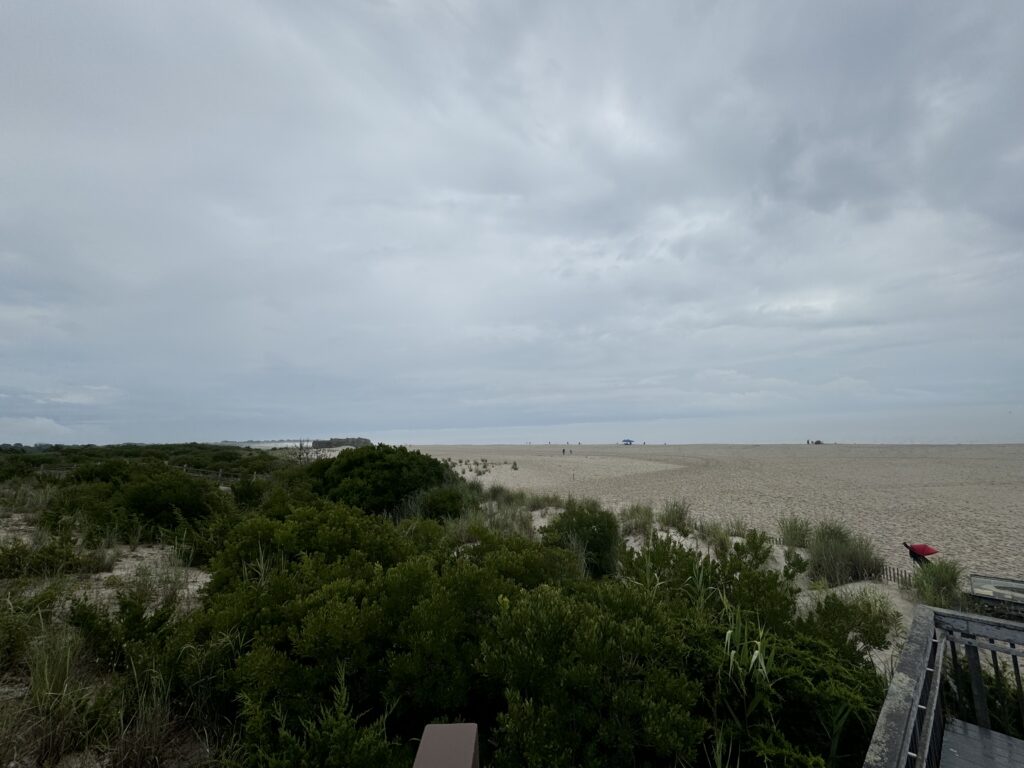 a beach with bushes and trees (MyCoast AI)