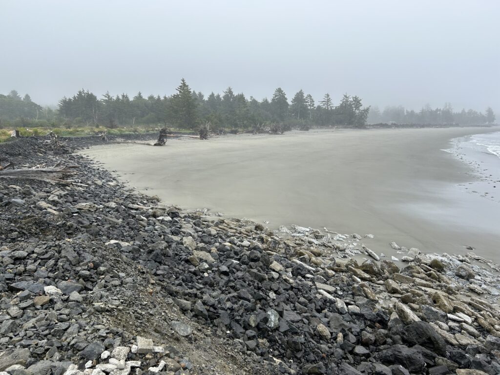 a rocky beach with trees in the background (MyCoast AI)